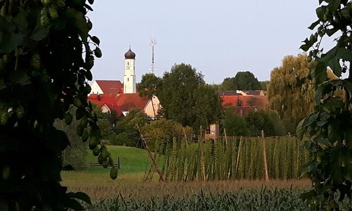 Holledauer Wirtshaus